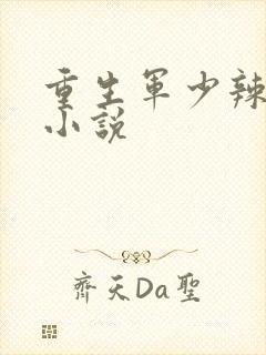 重生军少辣娇妻小说