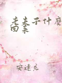 老夫子什么时候回来