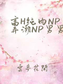 高H纯肉NP 弄潮NP男男