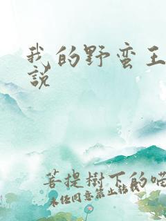 我的野蛮王妃小说