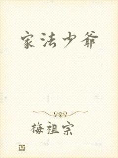 家法少爷