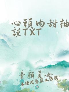 心头肉甜柚子小说TXT