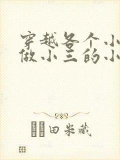 穿越各个小世界做小三的小说