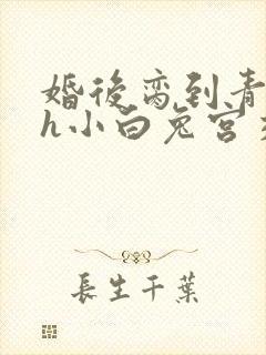 婚后脔到青梅哭h小白兔宫交h