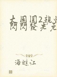 大团圆2亲情会闪闪发光免费