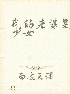 我的老婆是魔法少女