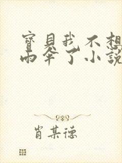 宝贝我不想带小雨伞了小说