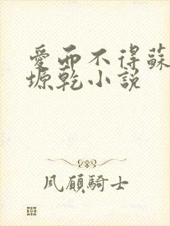 爱而不得苏路顾塬乾小说