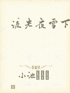 流光夜雪下载