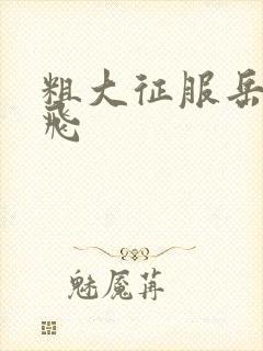 粗大征服岳女双飞