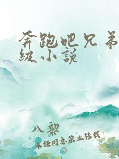 奔跑吧兄弟限制级小说