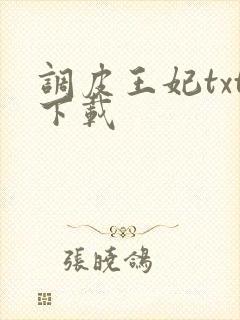 调皮王妃txt下载