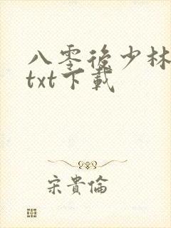 八零后少林方丈txt下载