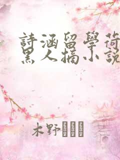 诗涵留学荷兰被黑人摘小说