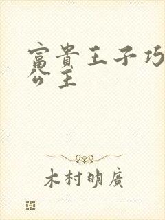 富贵王子巧遇穷公主