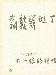 我被送进了私奴调教所