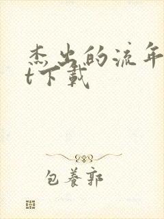 杰出的流年txt下载