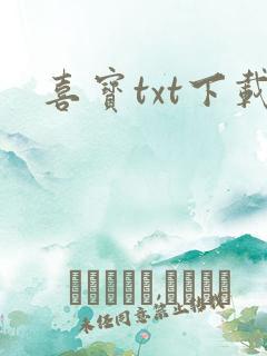 喜宝txt下载