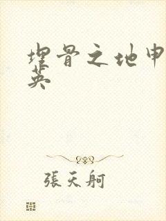 埋骨之地申屠奎英