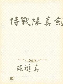 侍战队真剑者2
