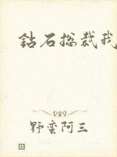 钻石总裁我已婚