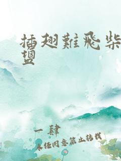 插翅难飞柴米油盐