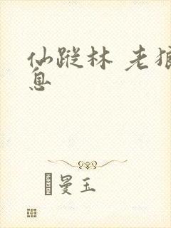 仙踪林 老狼信息