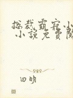 总裁霸宠小娇妻 小说免费阅读