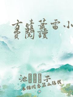 方晴萧雷小说免费阅读