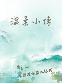 温柔小传