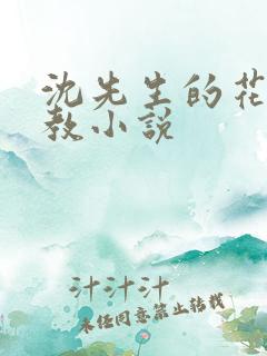 沈先生的花式调教小说