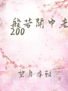 般若关中老人5200