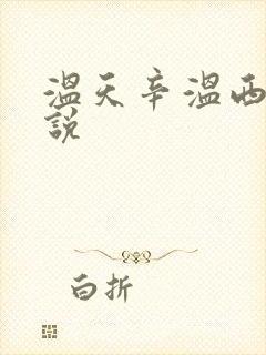 温天辛温西离小说