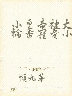 小皇帝被大臣们轮番宠爱小说