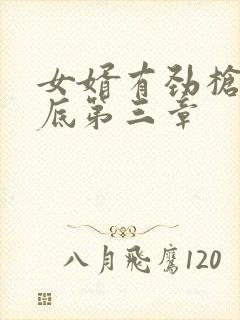 女婿有劲枪枪到底第三章