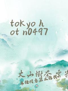 tokyo hot n0497