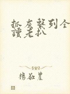 抓灰系列全文阅读老扒