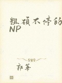 粗硕不停的进出NP