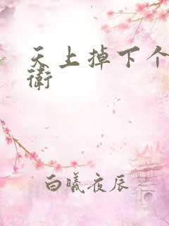 天上掉下个影卫卫