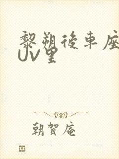 黎朔后车座上SUV里