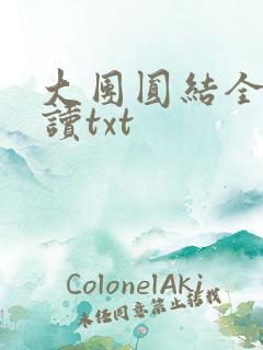 大团圆结全文阅读txt