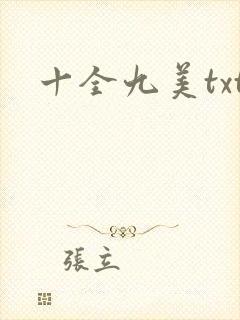 十全九美txt