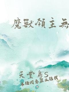 魔兽领主无弹窗