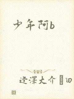 少年阿b