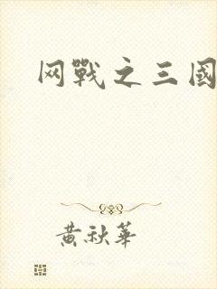 网战之三国霸业