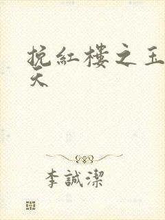 挽红楼之玉舞九天