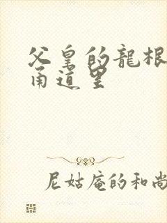 父皇的龙根在我甬道里