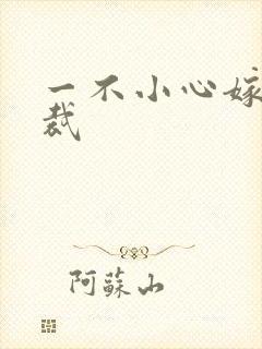 一不小心嫁给总裁