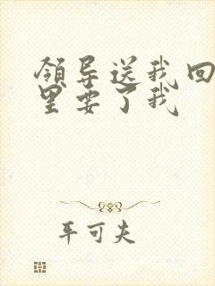 领导送我回家车里要了我