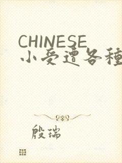 CHINESE小受遭各种打桩